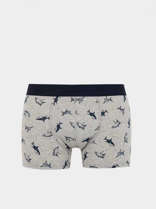 Трусы DeFacto модель Z6143AZ-GR210 Фото