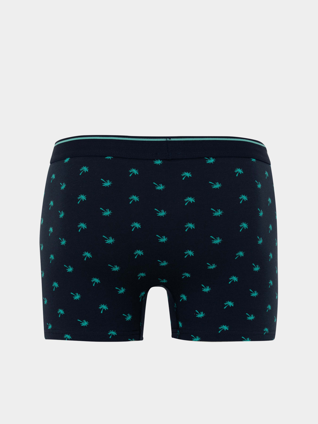 Набір трусів DeFacto модель Z6169AZ-NV135 Фото