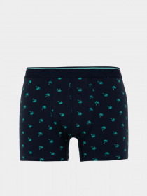 Набір трусів DeFacto модель Z6169AZ-NV135 Фото