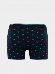 Набір трусів DeFacto модель Z6169AZ-NV135 Фото