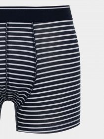 Набір трусів DeFacto модель A1459AX-NV135 Фото