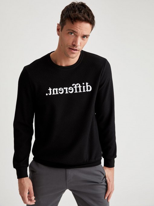 Свитшот DeFacto модель T6261AZ-BK27 Фото