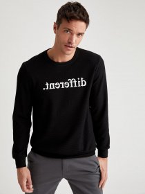 Свитшот DeFacto модель T6261AZ-BK27 Фото