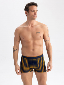 Набор трусов DeFacto модель U7320AZ-YL157 Фото