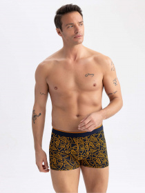 Набор трусов DeFacto модель U7320AZ-YL157 Фото