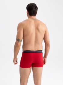 Набір трусів DeFacto модель Z6135AZ-NV135 Фото