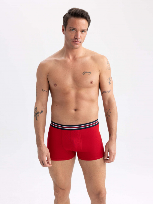 Набір трусів DeFacto модель Z6135AZ-NV135 Фото