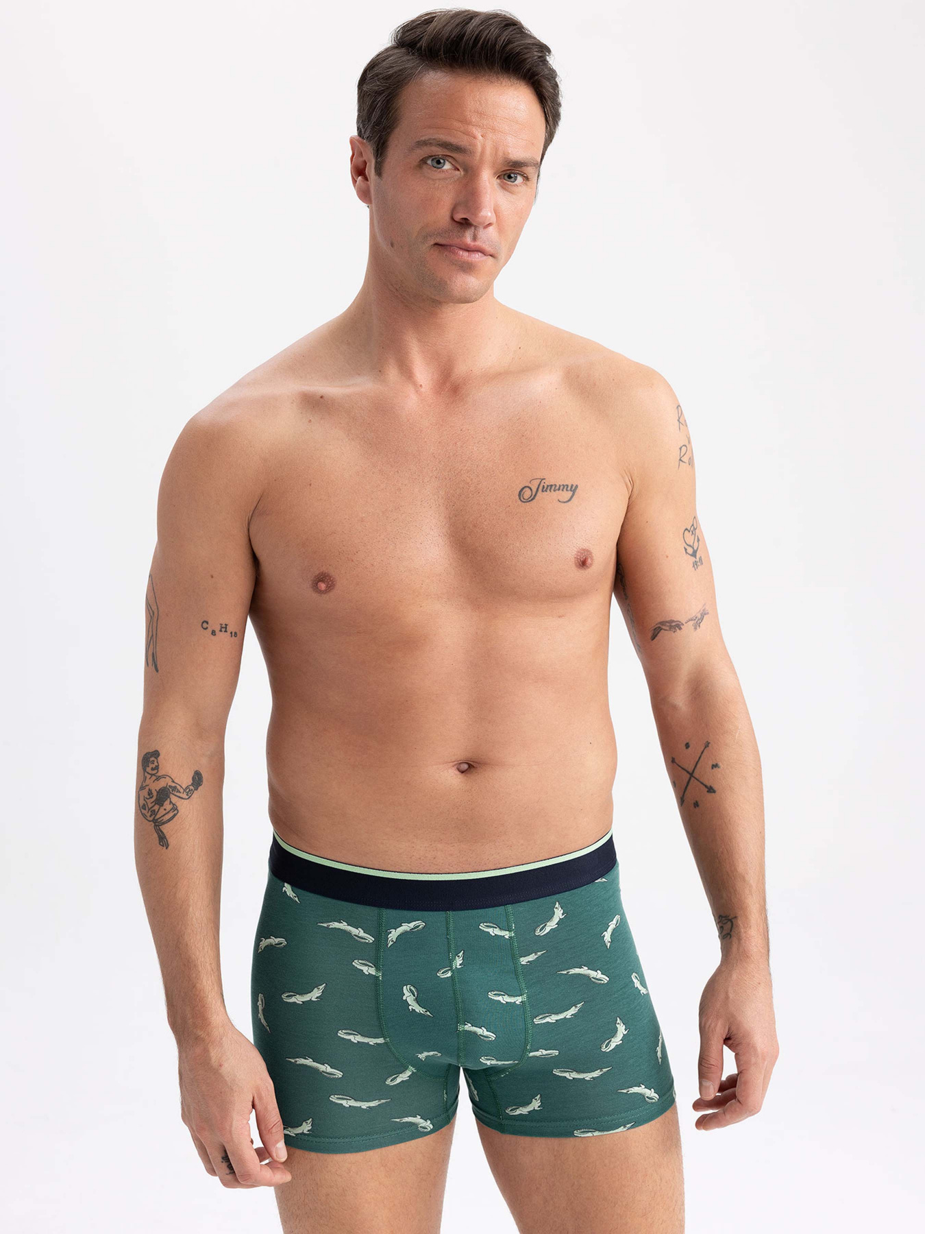 Труси DeFacto модель Z6137AZ-GN651 Фото