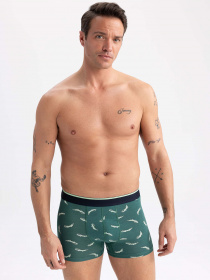 Труси DeFacto модель Z6137AZ-GN651 Фото