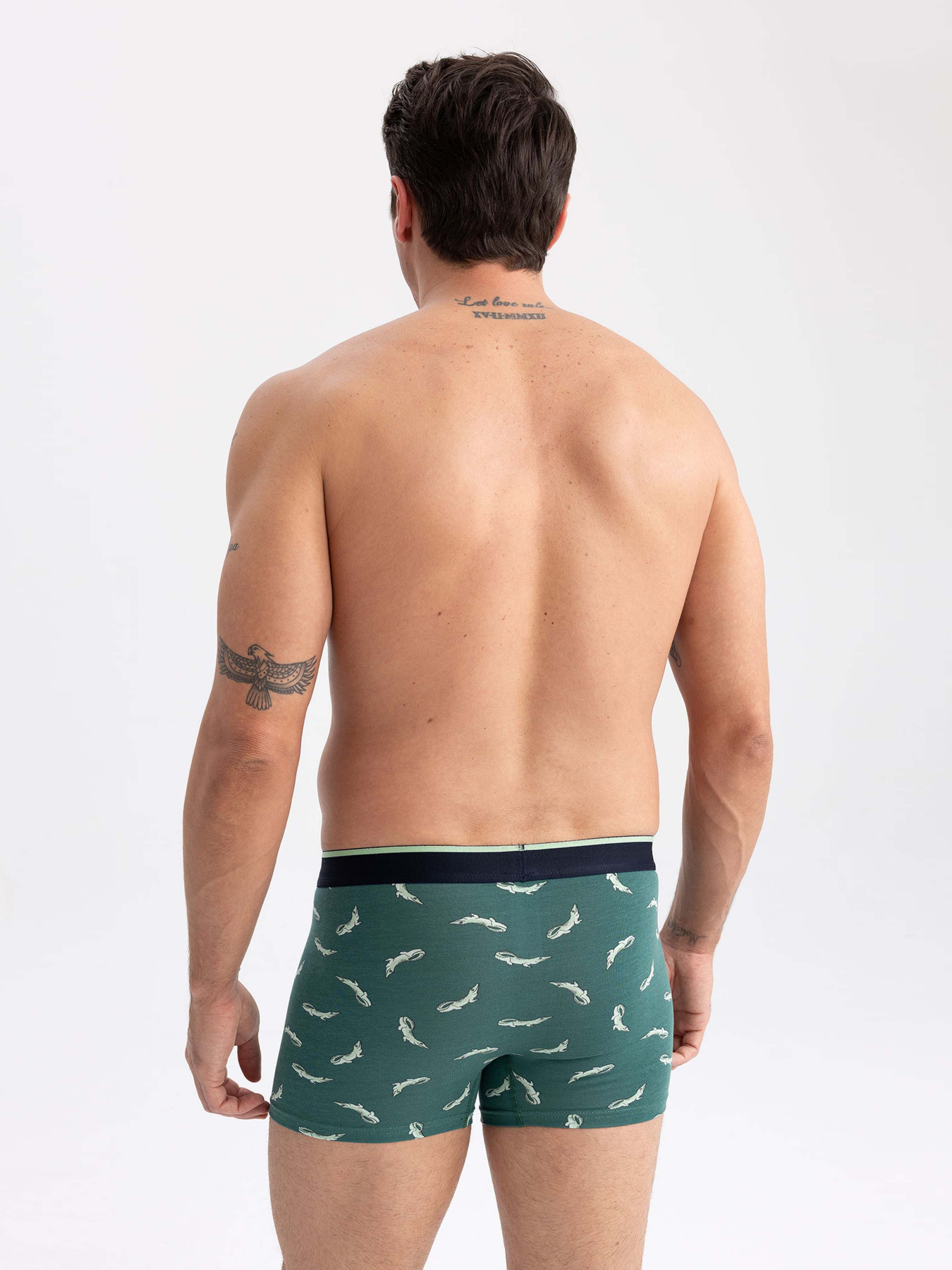 Труси DeFacto модель Z6137AZ-GN651 Фото