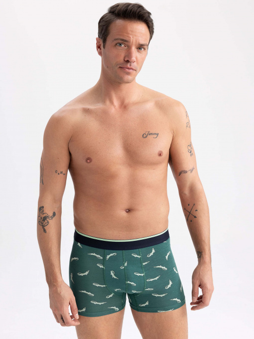 Трусы DeFacto модель Z6137AZ-GN651 Фото