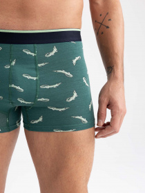 Труси DeFacto модель Z6137AZ-GN651 Фото