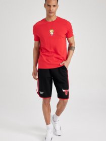 Футболка DeFacto модель A1889AX-RD296 Футболка DeFacto модель A1889AX-RD296 Фото