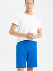 Повсякденні шорти DeFacto модель W1105AZ-BE457 Фото