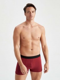 Набор трусов DeFacto модель T4922AZ-AR94 Фото