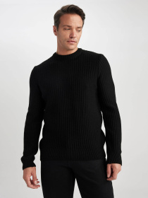 Джемпер DeFacto модель A5234AX-BK27 Фото