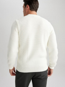 Джемпер DeFacto модель A5234AX-ER100 Фото