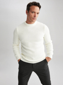 Джемпер DeFacto модель A5234AX-ER100 Фото