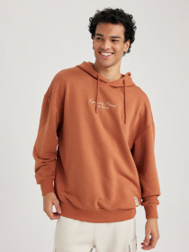 Худи DeFacto модель A5801AX-OG79 Фото