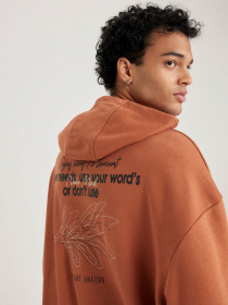 Худи DeFacto модель A5801AX-OG79 Фото