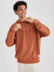 Худі DeFacto модель A5801AX-OG79 Фото