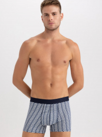 Набір трусів DeFacto модель A5863AX-GN1129 Фото