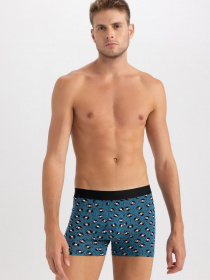 Набір трусів DeFacto модель A5868AX-GR210 Фото