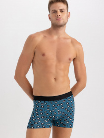 Набір трусів DeFacto модель A5868AX-GR210 Фото