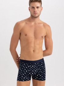 Набір трусів DeFacto модель A5990AX-NV135 Фото