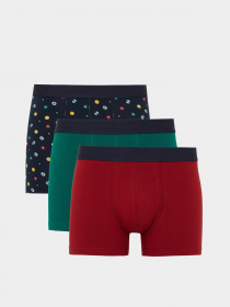 Набор трусов DeFacto модель A5996AX-BR114 Фото