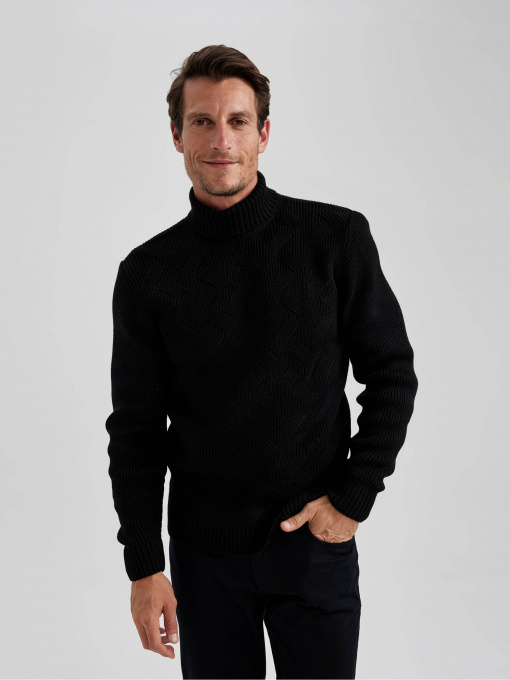 Водолазка DeFacto модель A9517AX-BK81 Фото