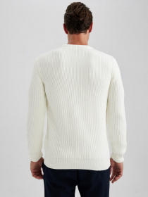 Джемпер DeFacto модель B0544AX-ER100 Фото