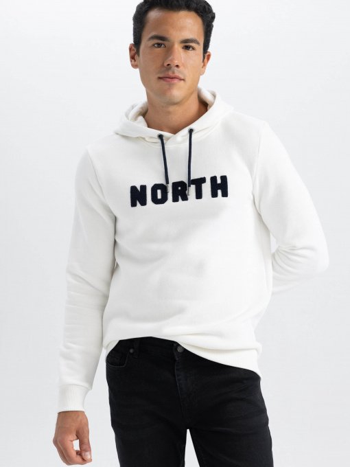 Худи DeFacto модель L5850AZ-WT32 Фото