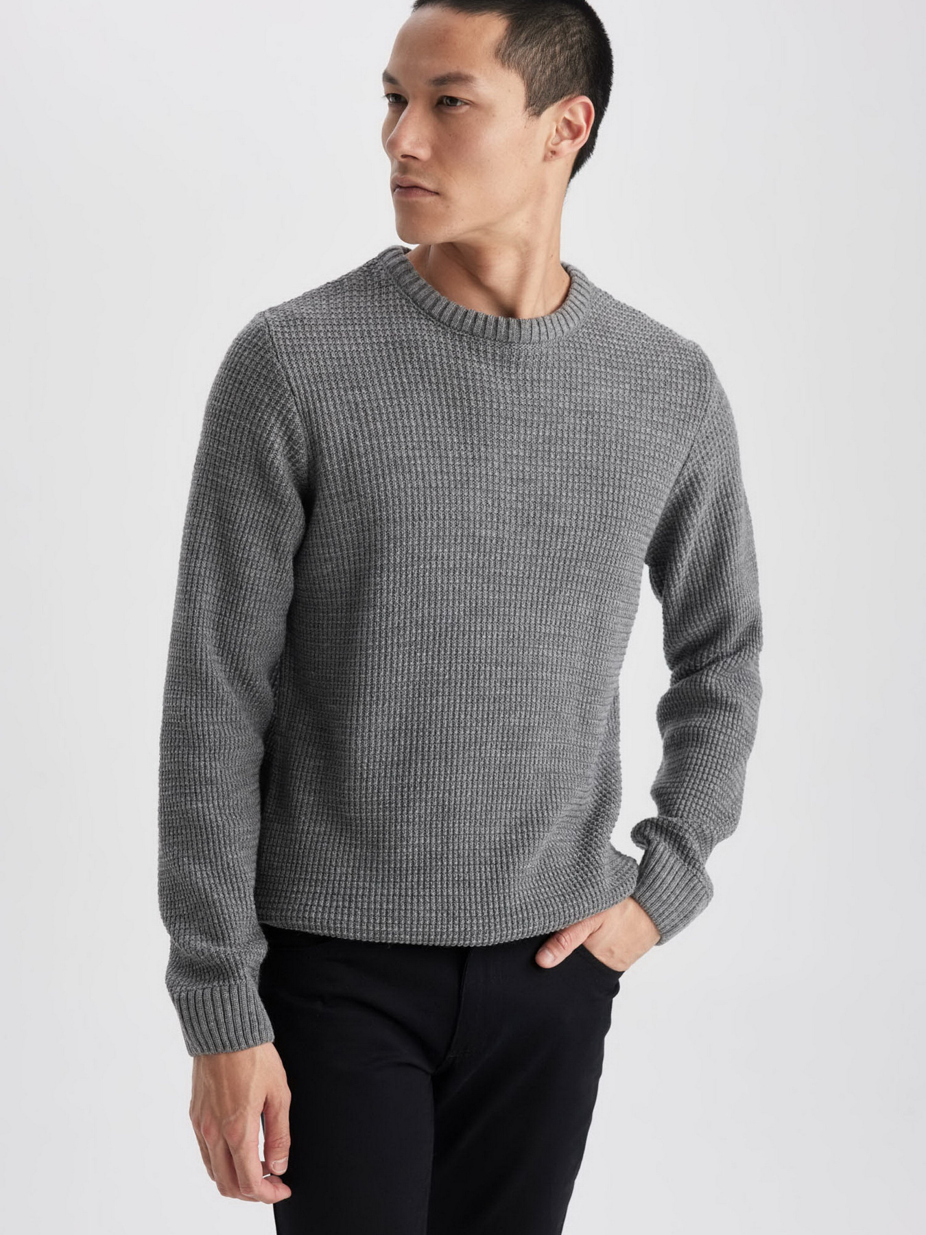 Джемпер DeFacto модель N9902AZ-AR102 Фото