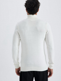 Водолазка DeFacto модель R1124AZ-ER100 Фото