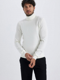 Водолазка DeFacto модель R1124AZ-ER100 Фото