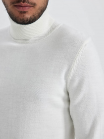 Водолазка DeFacto модель R1124AZ-ER100 Фото