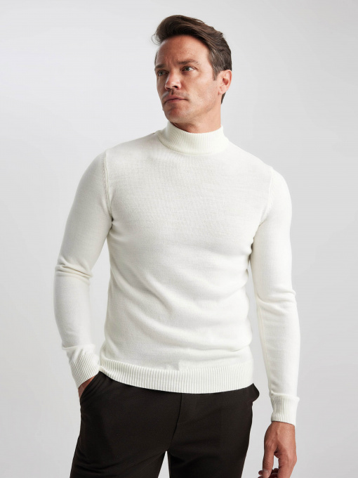 Водолазка DeFacto модель R1127AZ-ER100 Фото