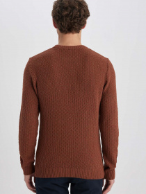 Джемпер DeFacto модель R1175AZ-OG78 Фото