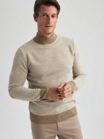 Водолазка DeFacto модель R9121AZ-BG300 Фото