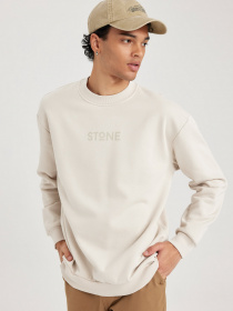 Свитшот DeFacto модель V5306AZ-BG662 Фото