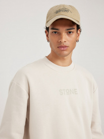 Свитшот DeFacto модель V5306AZ-BG662 Фото