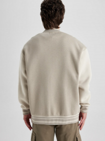 Бомбер DeFacto модель W6447AZ-BG699 Фото