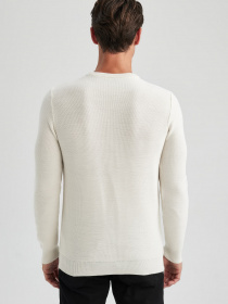 Джемпер DeFacto модель X7392AZ-BG734 Фото