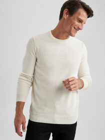 Джемпер DeFacto модель X7392AZ-BG734 Фото