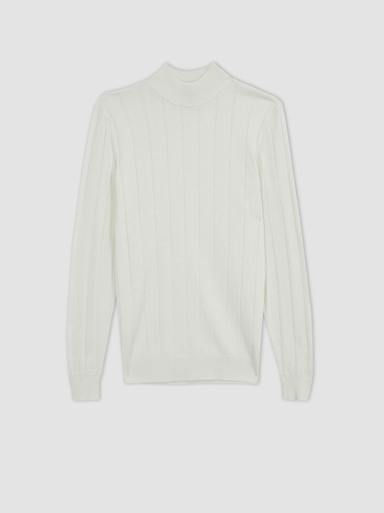 Водолазка DeFacto модель X7395AZ-ER138 Фото