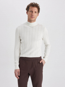 Водолазка DeFacto модель X7395AZ-ER138 Фото