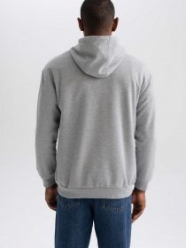 Худи DeFacto модель Y0764AZ-GR362 Фото