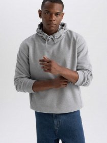 Худи DeFacto модель Y0764AZ-GR362 Фото