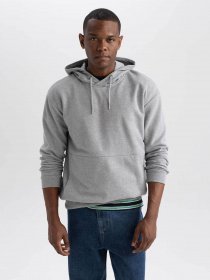 Худи DeFacto модель Y0764AZ-GR362 Фото